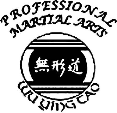 Professional Martial Arts Association