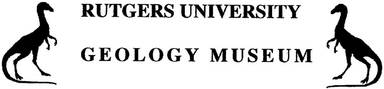Rutgers Geology Museum